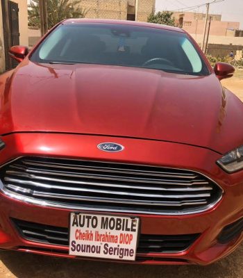 WhatsApp Image 2024-09-16 at 17.47.47 (1)