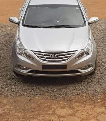 WhatsApp Image 2024-09-16 at 17.47.53